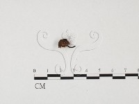 登錄號:F0025707藏品圖，第3張