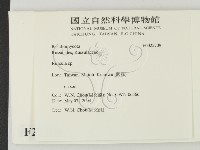 紅菇屬藏品圖，第2張