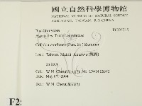 登錄號:F0025715藏品圖，第2張