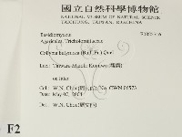 登錄號:F0025716藏品圖，第2張