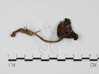 登錄號:F0025716藏品圖，第1張