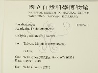 登錄號:F0025717藏品圖，第2張