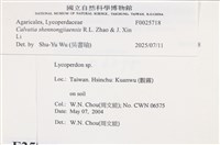 Accession Number:F0025718 Collection Image, Figure 4, Total 4 Figures