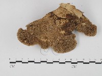 登錄號:F0025719藏品圖，第1張