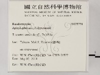 雲芝藏品圖，第2張