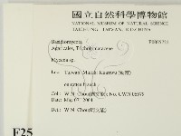 小菇屬藏品圖，第2張