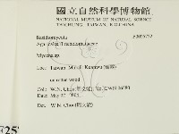 小菇屬藏品圖，第2張