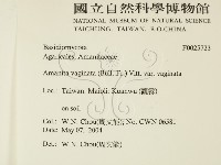 登錄號:F0025723藏品圖，第2張