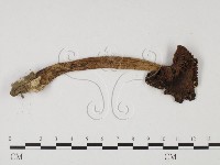 登錄號:F0025723藏品圖，第3張