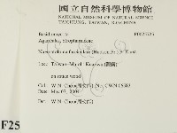 登錄號:F0025725藏品圖，第2張