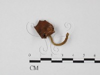 登錄號:F0025725藏品圖，第1張