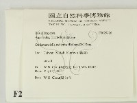 登錄號:F0025726藏品圖，第2張