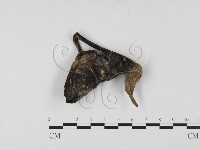 登錄號:F0025726藏品圖，第1張