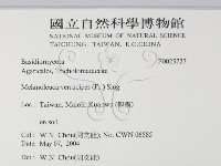 登錄號:F0025727藏品圖，第2張