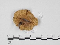 登錄號:F0025729藏品圖，第1張