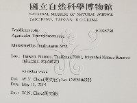 登錄號:F0025730藏品圖，第2張