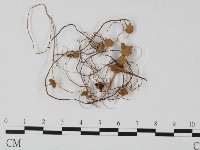 登錄號:F0025730藏品圖，第3張