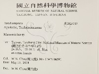 微皮傘屬藏品圖，第2張