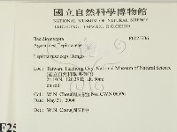 登錄號:F0025736藏品圖，第2張