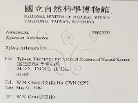 登錄號:F0025737藏品圖，第2張