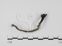 登錄號:F0025737藏品圖，第3張