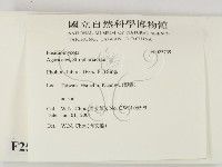 登錄號:F0025739藏品圖，第2張