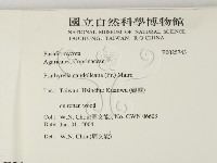 登錄號:F0025743藏品圖，第2張