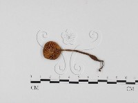 登錄號:F0025745藏品圖，第3張