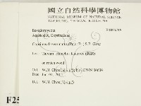 登錄號:F0025746藏品圖，第2張