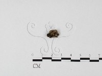 登錄號:F0025747藏品圖，第1張