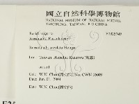 登錄號:F0025749藏品圖，第2張