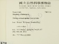 登錄號:F0025751藏品圖，第2張