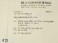 登錄號:F0025753藏品圖，第2張