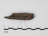 登錄號:F0025753藏品圖，第1張