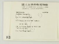 登錄號:F0025756藏品圖，第2張