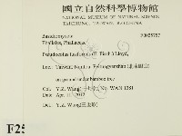 登錄號:F0025757藏品圖，第2張