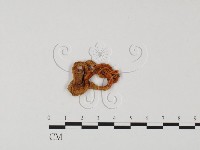 登錄號:F0025757藏品圖，第3張