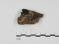 登錄號:F0025758藏品圖，第1張