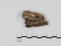 登錄號:F0025758藏品圖，第3張