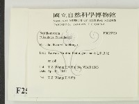 登錄號:F0025759藏品圖，第2張