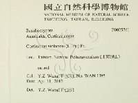 登錄號:F0025761藏品圖，第2張