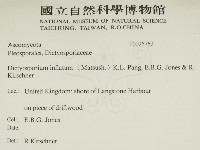 登錄號:F0025762藏品圖，第2張