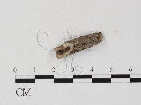 登錄號:F0025762藏品圖，第1張