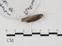 登錄號:F0025762藏品圖，第4張