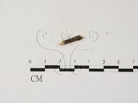 登錄號:F0025763藏品圖，第1張