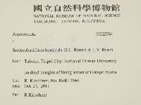登錄號:F0025764藏品圖，第2張