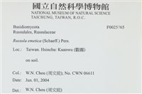 登錄號:F0025765藏品圖，第4張