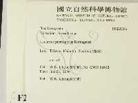 登錄號:F0025766藏品圖，第2張