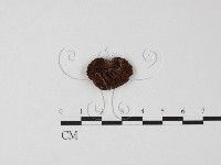 登錄號:F0025768藏品圖，第1張