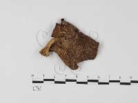 登錄號:F0025769藏品圖，第1張